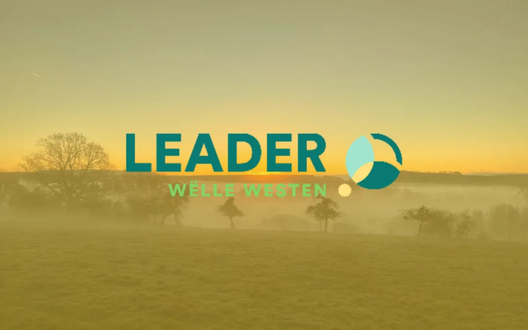 LEADER: 1 ASSISTANT(E) AU SEIN DU BUREAU LEADER WËLLE WESTEN (M/F)