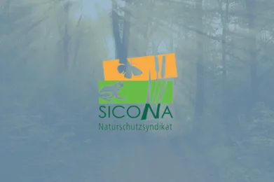 SICONA: Convocation comité 24.06.2026