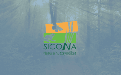 Aktioun Päiperlek – gratis Wëllstauden 2026