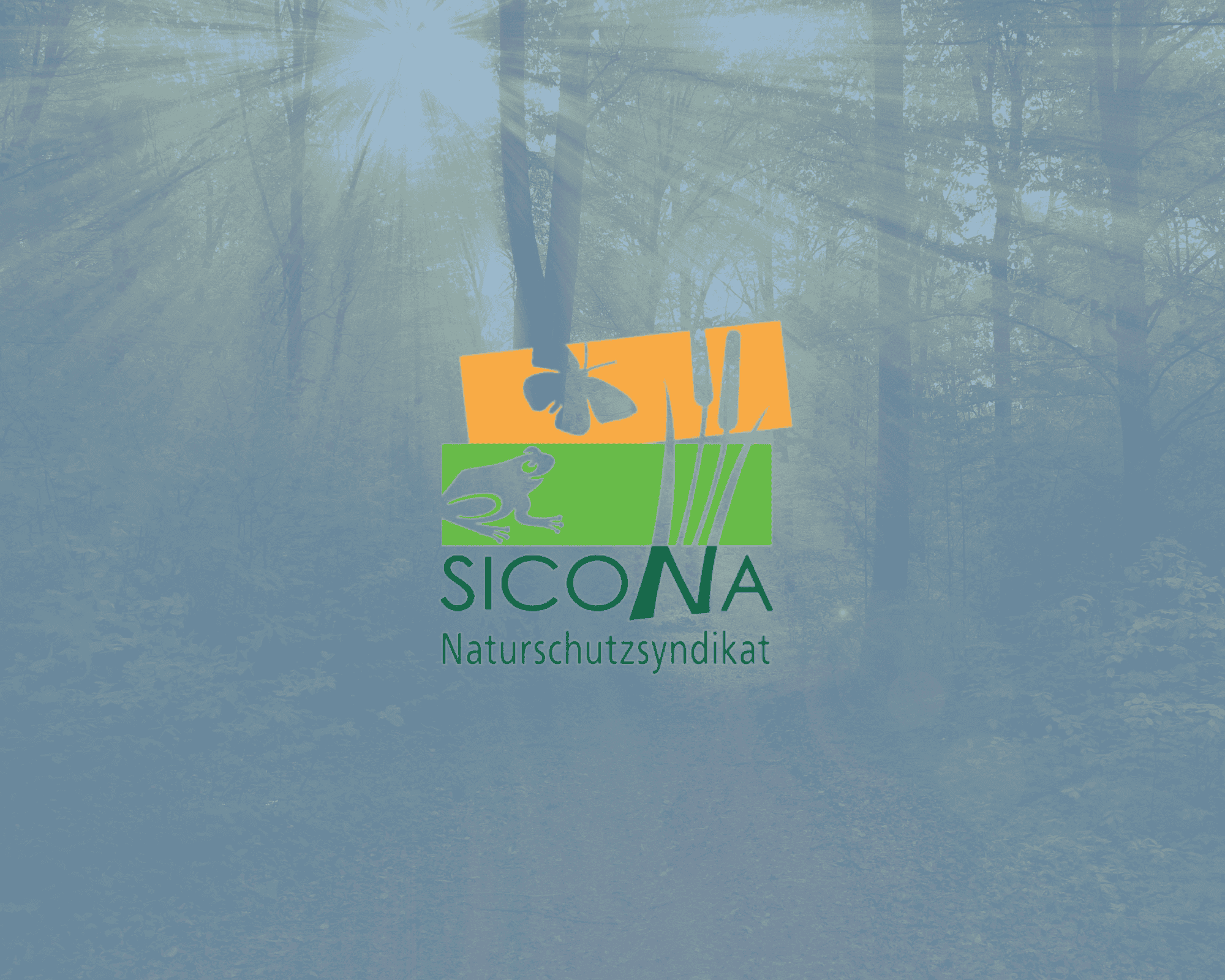 Aktioun Päiperlek - gratis Wëllstauden 2026