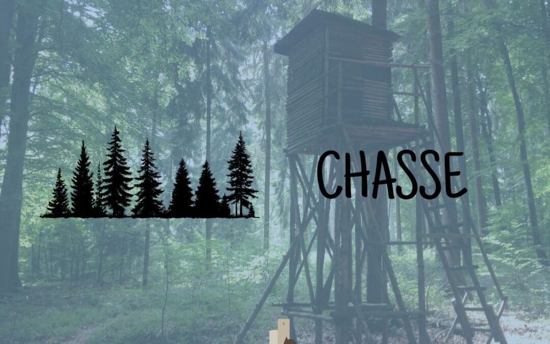 AVIS AU PUBLIC – lot de chasse 266 – 12/12/2026