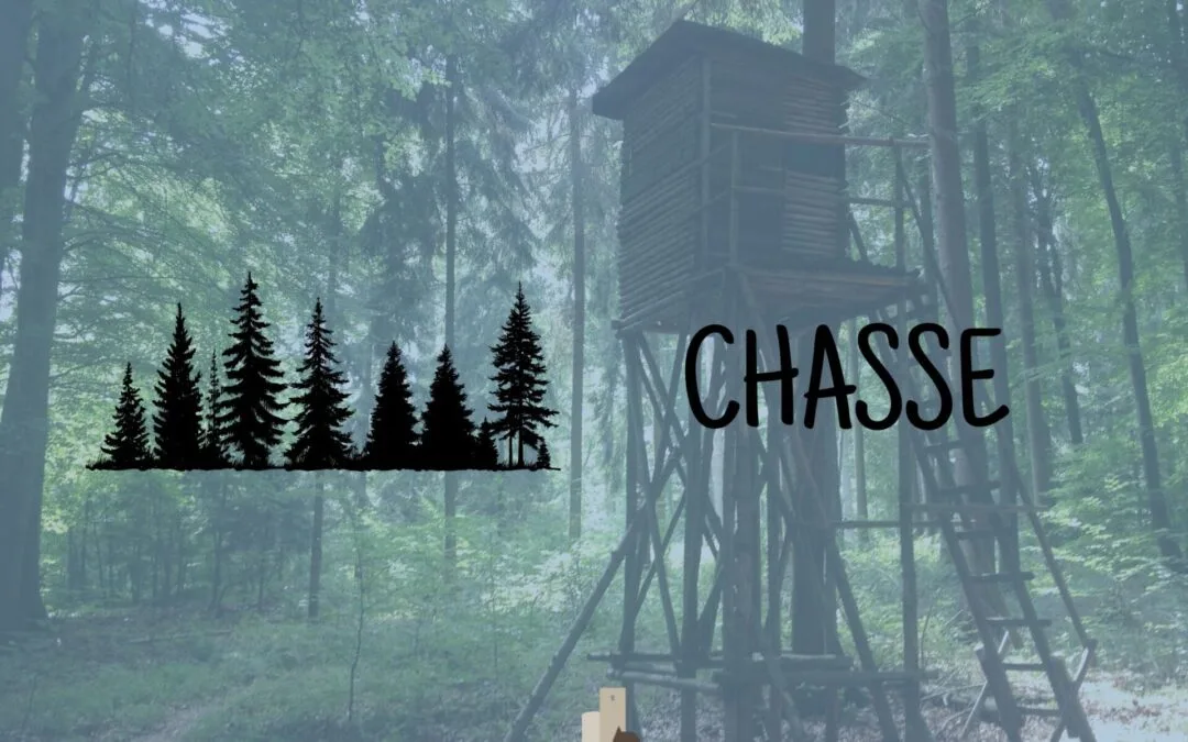 AVIS AU PUBLIC – lot de chasse 266 – 12/12/2026
