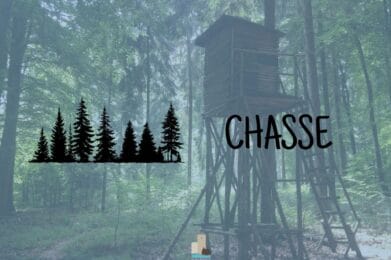 AVIS AU PUBLIC - lot de chasse 266 - 12/12/2026