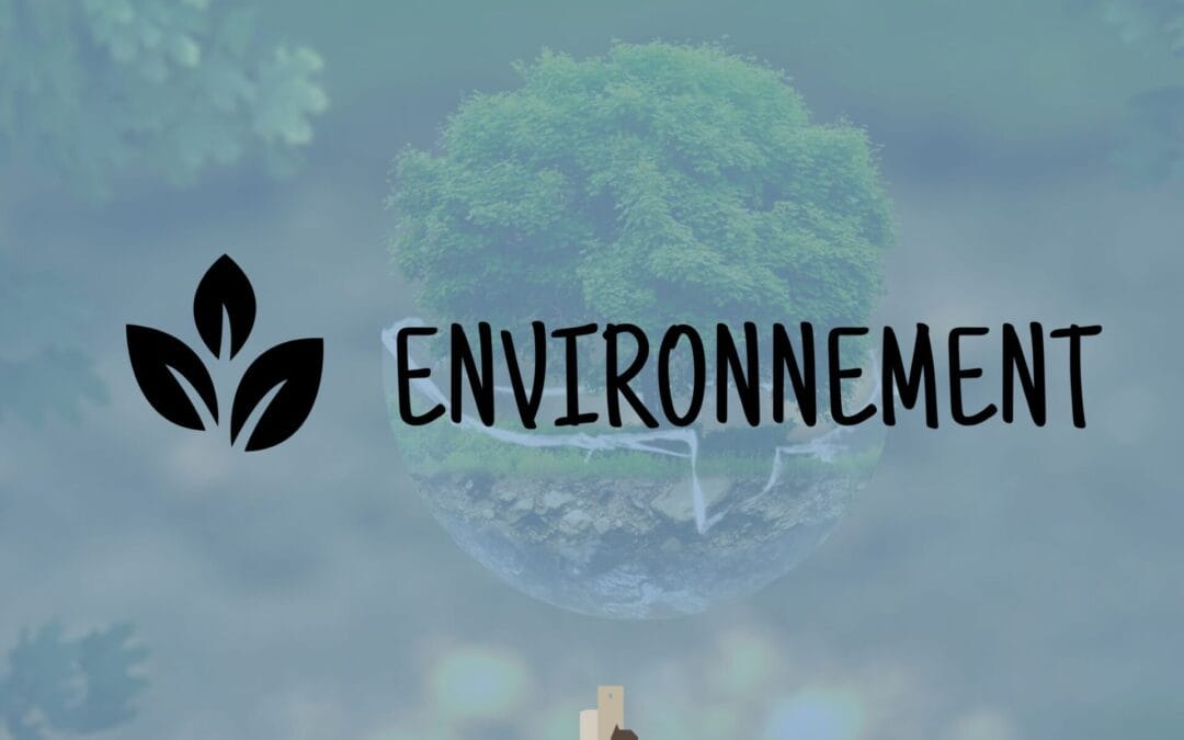 Environnement: Décision Dossier 2026-000093